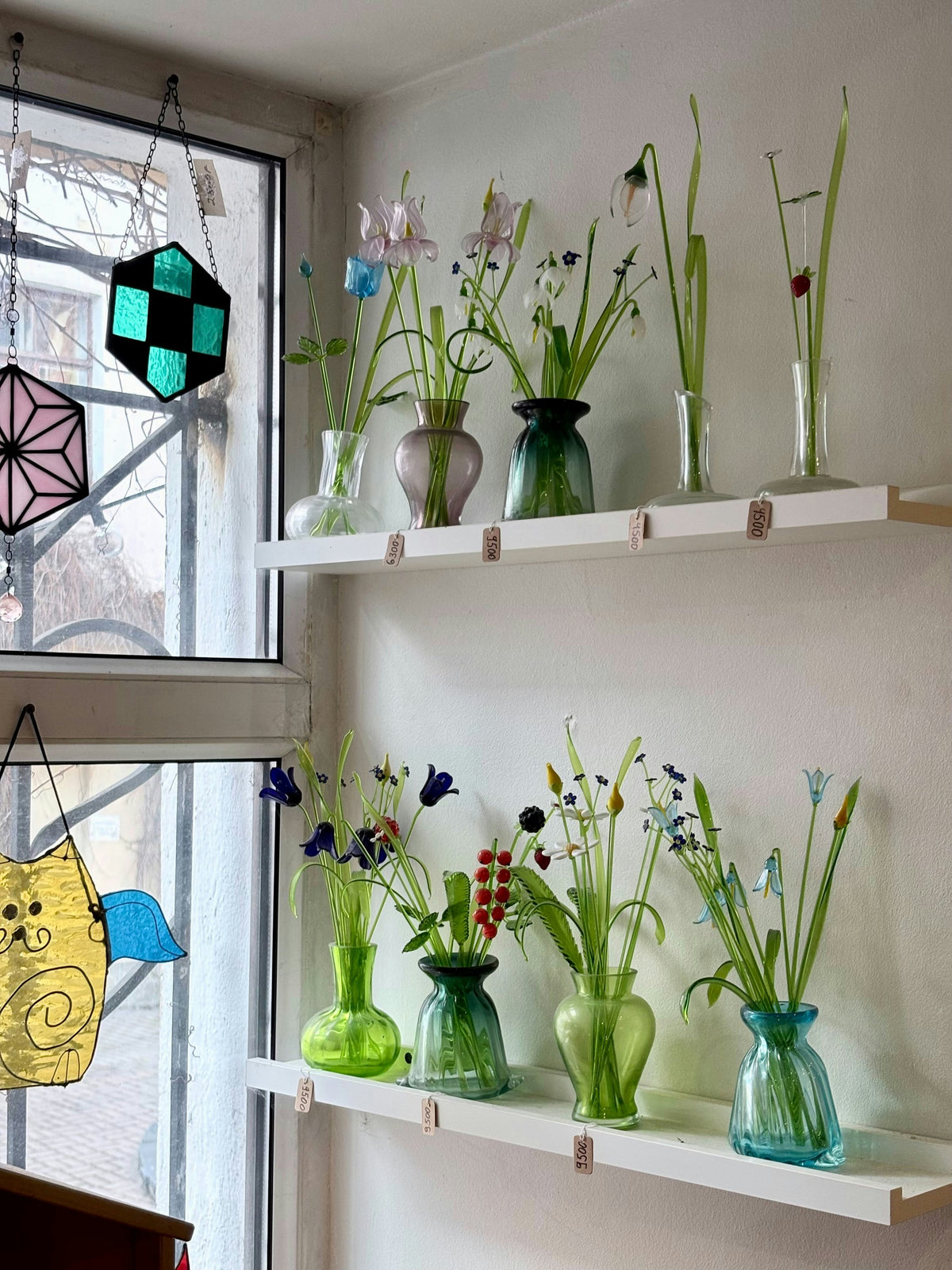 Shelves of single stems in coloured glass bud vases by a studio window