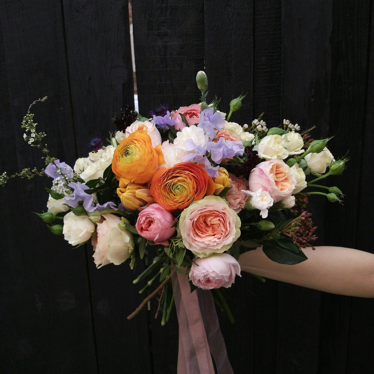 Bouquet of garden roses, orange ranunculus and sweet peas against a dark wall